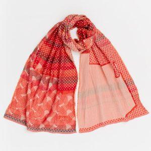 BONIFACE - 201 clémentine