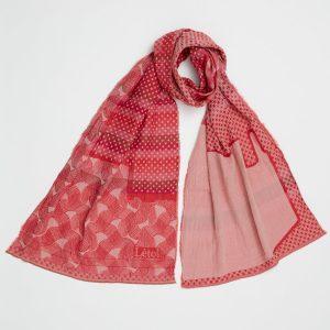 BONIFACE - 802 pitaya