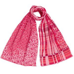 GEORGIA - 202 groseilles